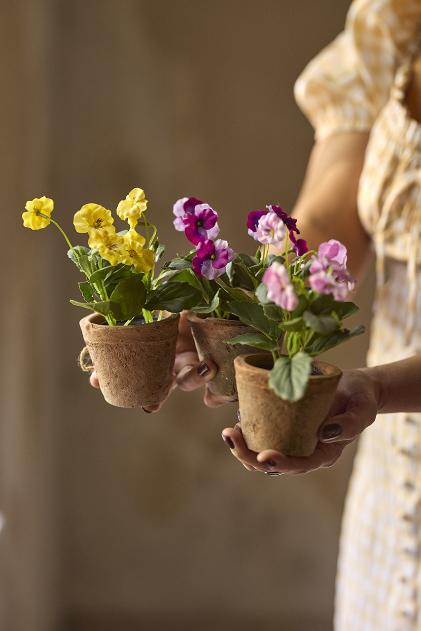 /images/imagebankSeasons/small/Mr Plant SS 2024/1944-99-1 (2).jpg